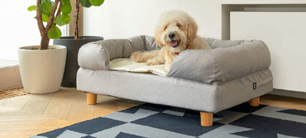 Lit Bolster pour chiens avec matelas  mmoire de forme