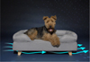 lit Bolster pour chiens avec matelas  mmoire de forme