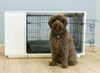 Niche Fido NOOK pour chiens