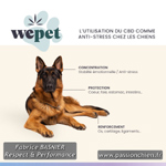 wepet, le CBD anti-stress pour chiens & chats