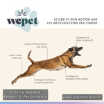 wepet, le CBD pour les articulations du chien & chat