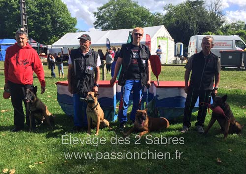 malinois au championnat mondioring