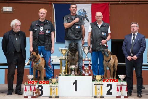 podium malinois en mondioring