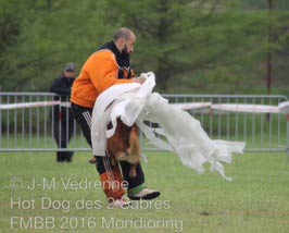 parcours du malinois Hot Dog  la FMBB 2016