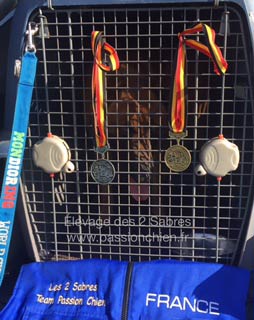 podium & rcompenses de nos malinois  la FMBB 2016