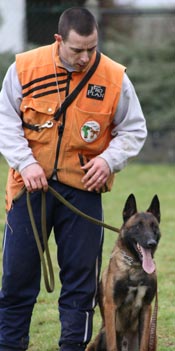 Le malinois Einstein des 2 Sabres