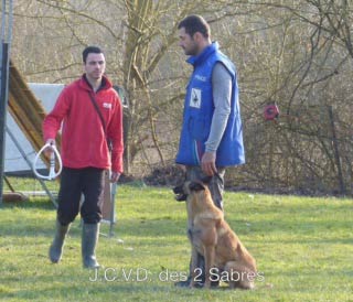 malinois JCVD en concours mondioirng 1