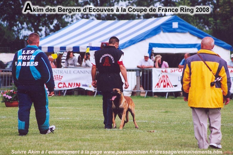 Le malinois Akim  la Finale Ring 2008