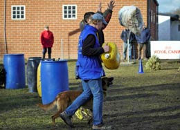 malinois Hot Dog  l'entrainement mondioring