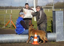 malinois Hot Dog  l'entrainement mondioring