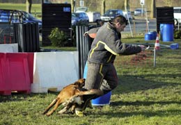 malinois Hot Dog  l'entrainement mondioring