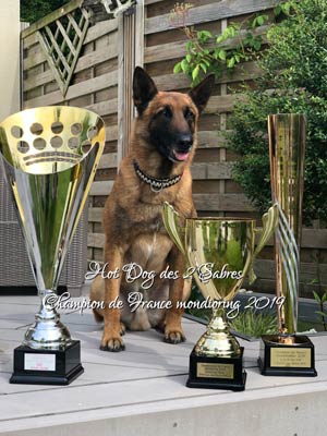 malinois HOT DOG championb de France mondioring