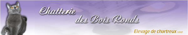 levage chartreux des bois ronds