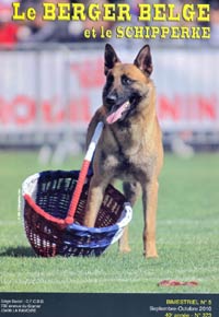 malinois Caplan des 2 Sabres